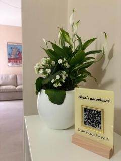 Nina's Apartment Pisa - Affitti Brevi Italia - 3