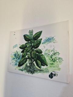 Bosiljak kuca za odmor - 6