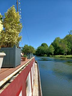 Sur la Somme à bord de la péniche Arche de Noé - 1