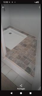 Hibiscus Manganao 1905 - 2