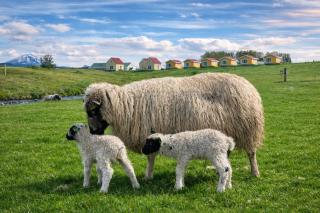 Hótel Lækur - Hella - 8