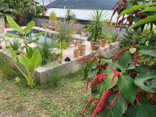 O kAZ de Petite île - Petite Île - 6