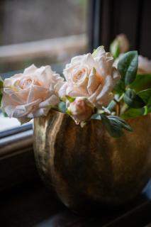 Pipera Studio Apartment - 4