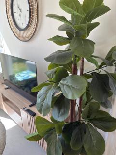 Cousins Cove Strand - 4