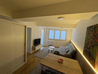 Zebra Premium Apartment - 7