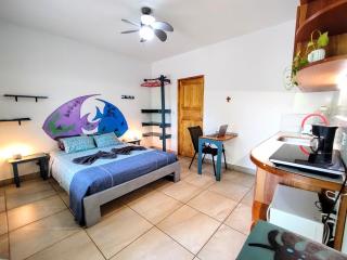 Casa Ceiba Samara - 4