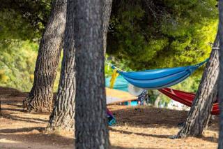 Apartment in Biograd na Moru - Biograd Riviera 53961 - Biograd na Moru - 1