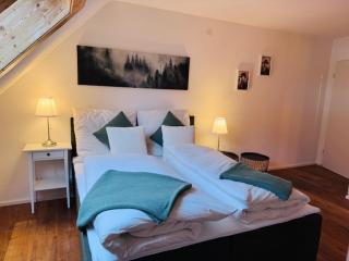 Schwarzwald Geißentalblick, Balkon, Sauna, 4 Personen - 0