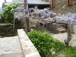 Gîte Traditionnel En Cévennes - 1