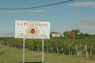 Maison de groupe - Vignes - Campagne - Bordeaux - 5