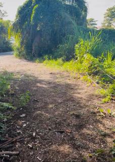 Chambre d'Hôtes MYFAIR Habitation ANNABEL'S - 1