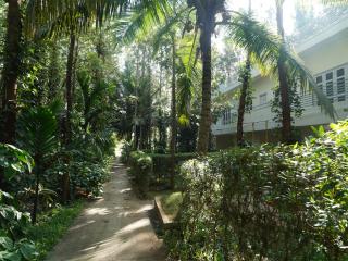 Blue Lagoon Inn Resort - 6