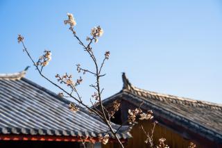 丽江古城丨此间 Alley丨隐匿一方庭院丨忠义市场店丨 - 7