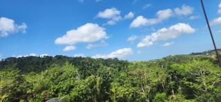 Swabys Hope Hideaway - Mandeville - 2