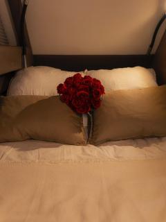 Luxury Catamaran Stay in Valencia Marina - 3