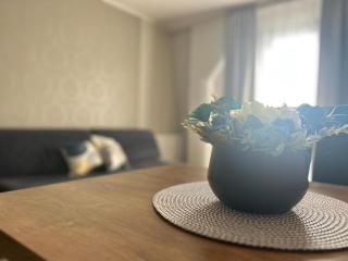 APARTAMENTY FAMA - Apartamenty w centrum Mrągowa - 6