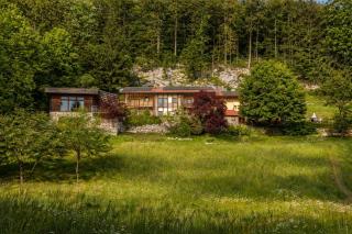 Posestvo Laz - The Laz Estate - 5