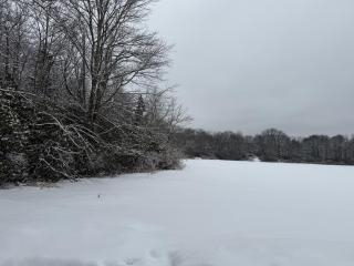 "The Lure" Delightful, Private Waterfront Getaway - 2