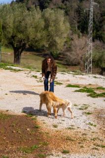 Le Tre Aie - Cilento home holidays - 1