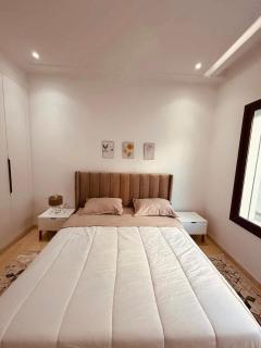 luxueux S2 a jardin de Carthage - 5