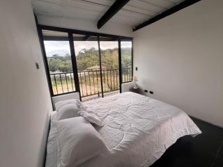 Ventana al bosque - 3