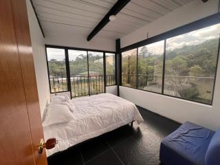 Ventana al bosque - 0