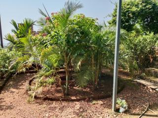 Fulora Guesthouse - 9