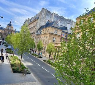 Charming brand new studio with Mezzanine - Odeon - 8