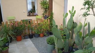 Stella's Monteurswohnungen - 3