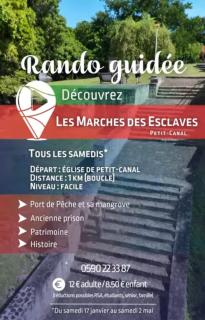 Canopée Créole - 3