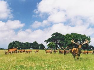 Deer Park Lookout - E3928 - 0