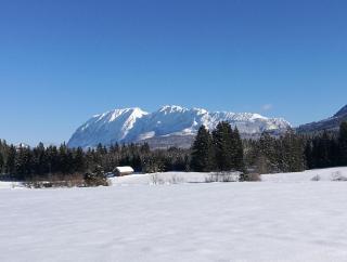 LoipenLoge Apartments - 9