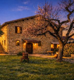 Le Mimose Umbria Country Estate - 4