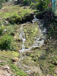 Spring love villa - 1