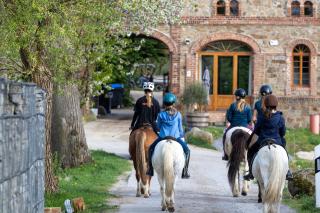 TinyHousebeiDresden mit Faßsauna Zwischen den Teichen und auf der Pferdekoppel Kaminofen Terrasse Klimaanlage - 5