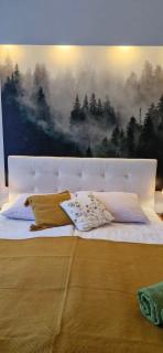 Apartament11 Brzozowa 5minut Krupówki, garaż - 5