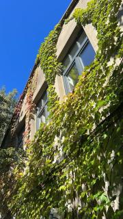 Alte Büdnerei - "Gartenappartement" - 0