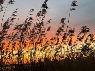 Mallorca super 161 - 2