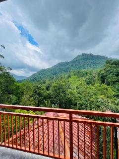 White Villa Kitulgala - 5