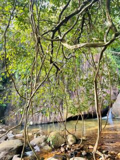 White Villa Kitulgala - 3