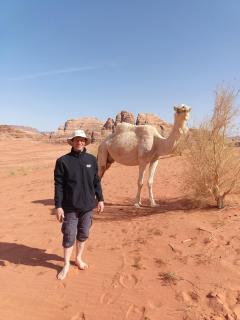 Desert Sands Camp Wadi Rum - 8