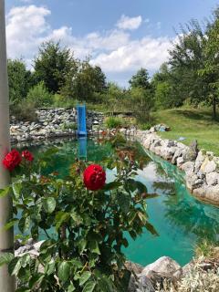 Garden Rooms near Munich - 3