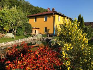 Garden Rooms near Munich - 2
