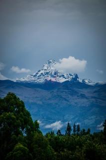 Greenwoods 2BR Boho - 5