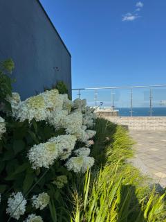 Аркадия ! ЖК Атмосфера ,панорама моря ,паркинг - 6