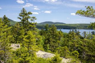 Lake Front EcoCabin with 2800ft Private Waterfront - Breakfast & Dinner included - 8