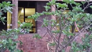 Hennie's Rest - 9