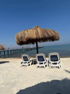 كورنادو بيتش - 0