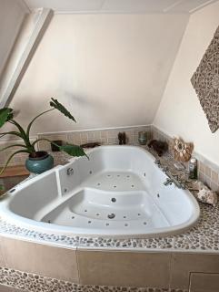 Modern Cozy Asian Style bedroom with Kingsize Spa bath - 0