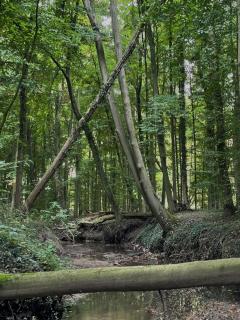 Hideaway Dülmen - Auszeit im Grünen! - 5